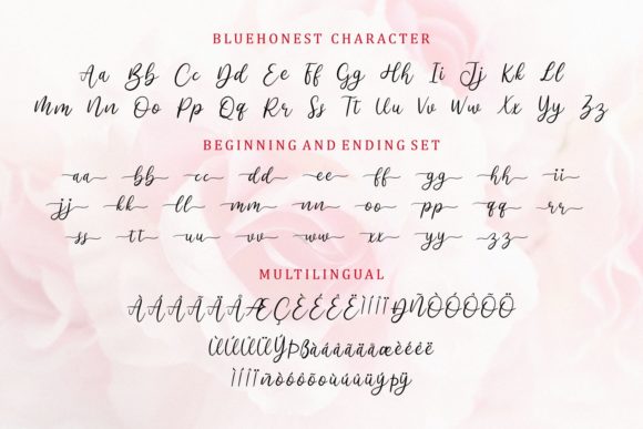 Bluehonest Font Poster 11