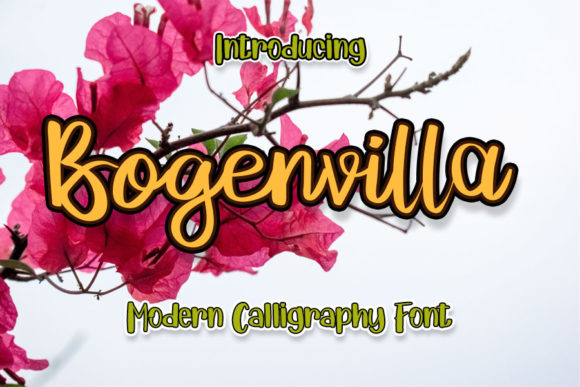 Bogenvilla Font Poster 1