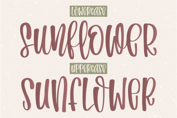 Bohemian Wedding Font Poster 3