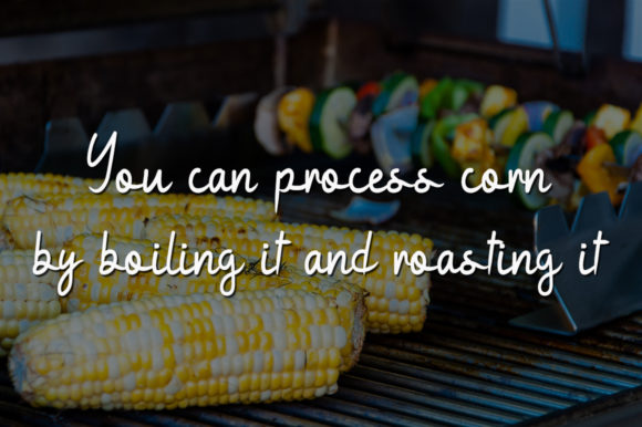 Boiled Corn Font Poster 3