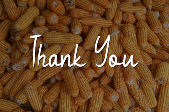 Boiled Corn Font Poster 5