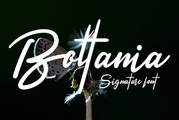 Boltania Font Poster 1