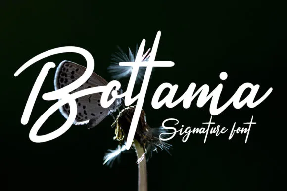 Boltania Font Boltania Font Poster 1