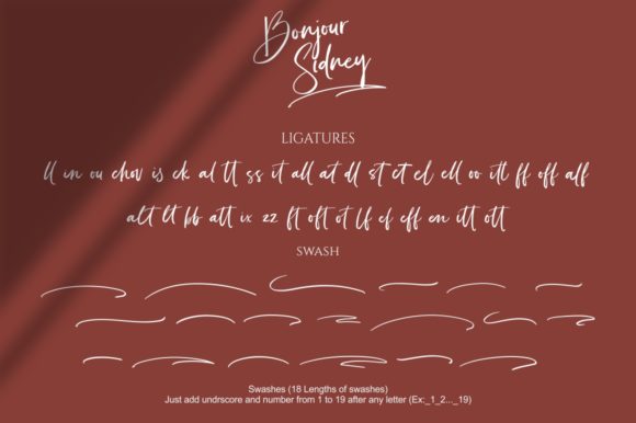 Bonjour Sidney Font Poster 11