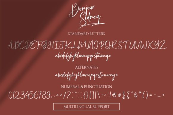 Bonjour Sidney Font Poster 10