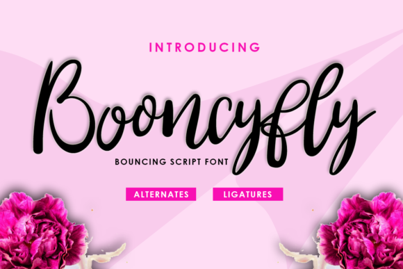 Booncyfly Font Poster 1