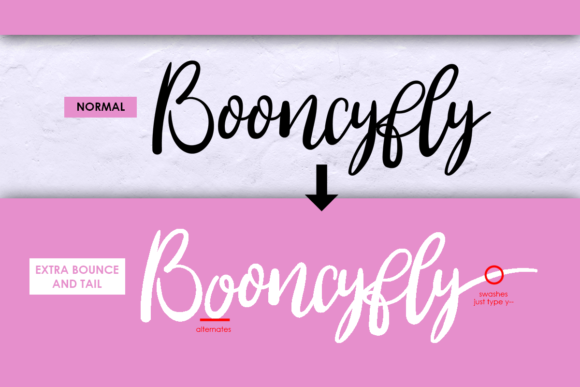 Booncyfly Font Poster 4