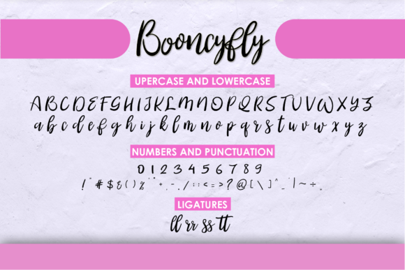 Booncyfly Font Poster 5