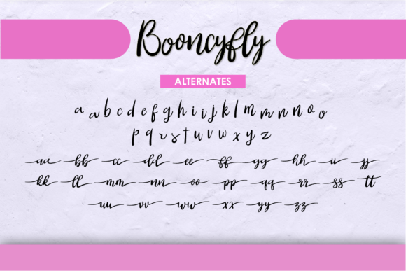 Booncyfly Font Poster 6