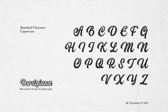 Borsigiana Font Poster 6