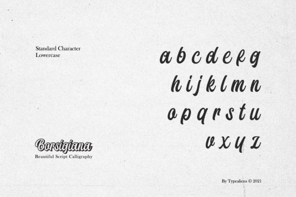 Borsigiana Font Poster 7