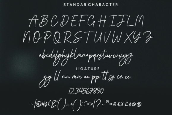 Bostante Font Poster 11