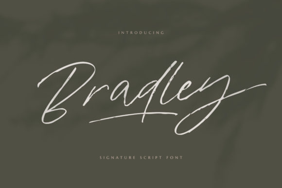 Bradley Font Poster 1