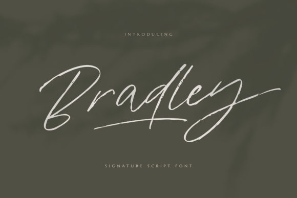 Bradley Font