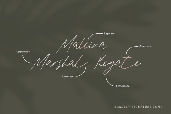 Bradley Font Poster 7