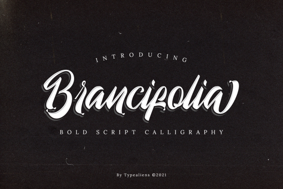 Brancifolia Font Poster 1