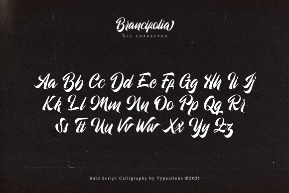 Brancifolia Font Poster 7