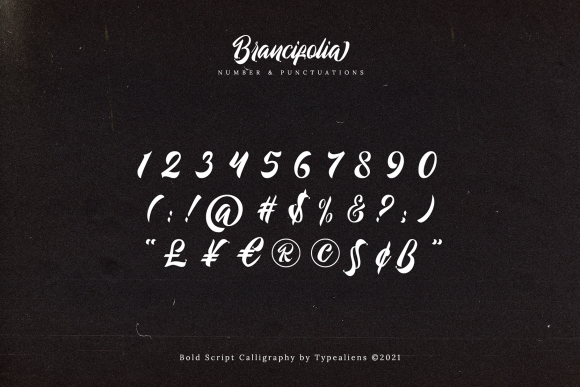 Brancifolia Font Poster 8
