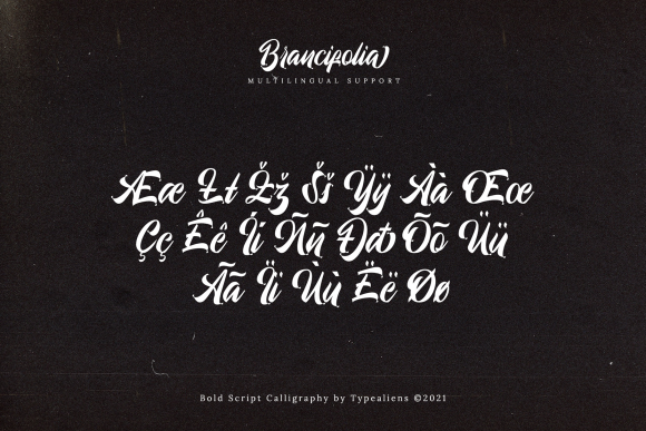 Brancifolia Font Poster 9