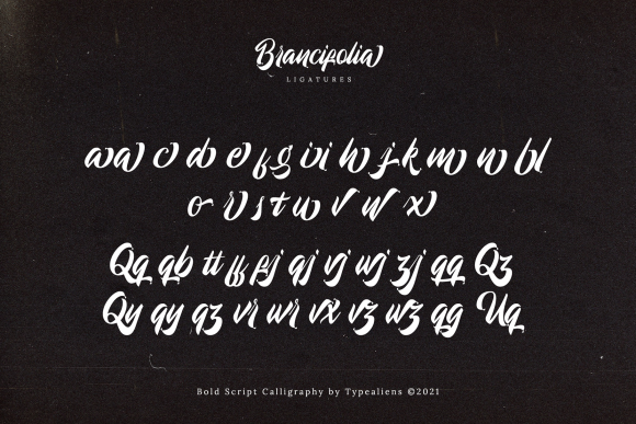 Brancifolia Font Poster 10
