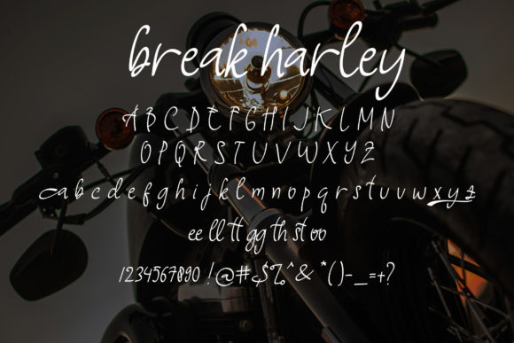 Break Harley Font Poster 9