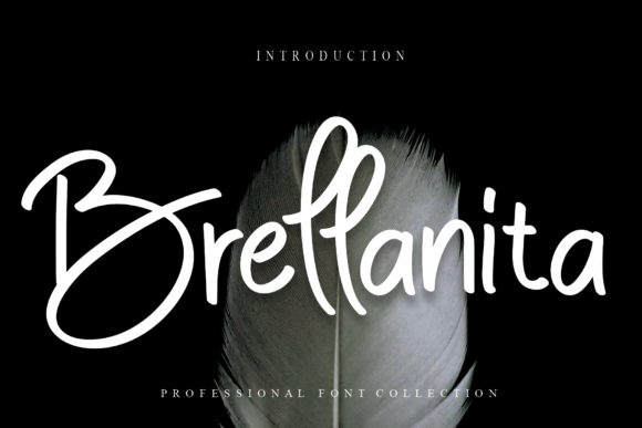 Brellanita Font Poster 1