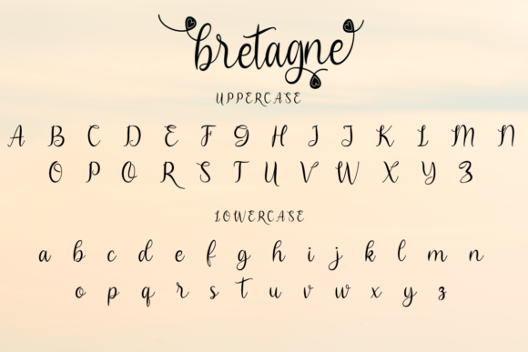 Bretagne Font Poster 10