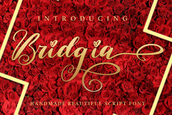 Bridgia Font Poster 1