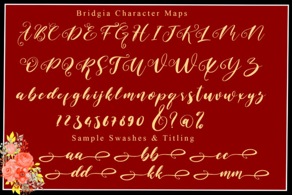 Bridgia Font Poster 6