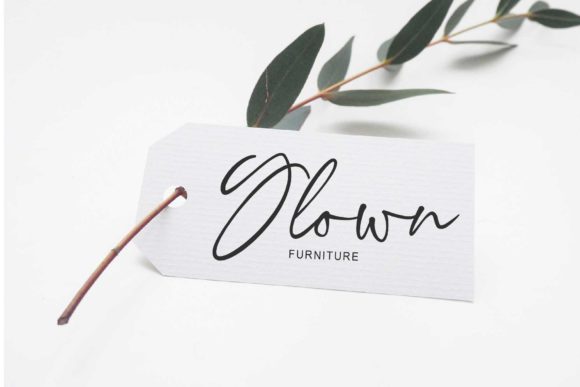 Bright Signature Font Poster 5