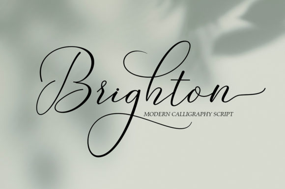 Brighton Script Font