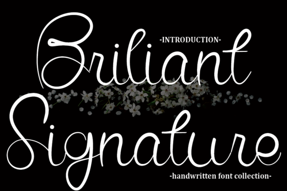 Briliant Signature Font