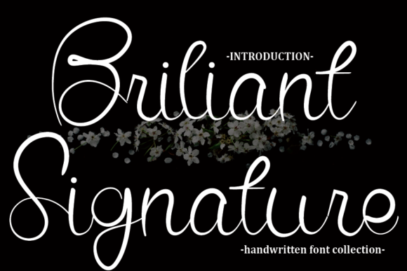 Briliant Signature Font Poster 1