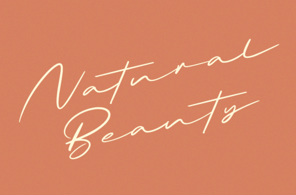 Briquete Font Poster 4