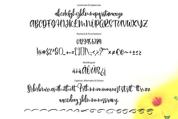 Bristly Font Poster 6