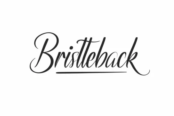 Bristteback Font Bristteback Font Poster 1