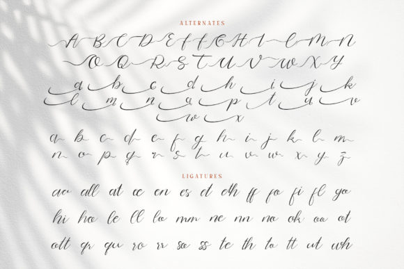 Brohillo Font Poster 14