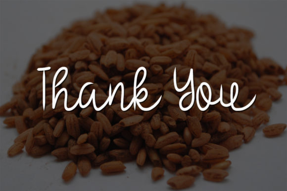Brown Rice Font Poster 5
