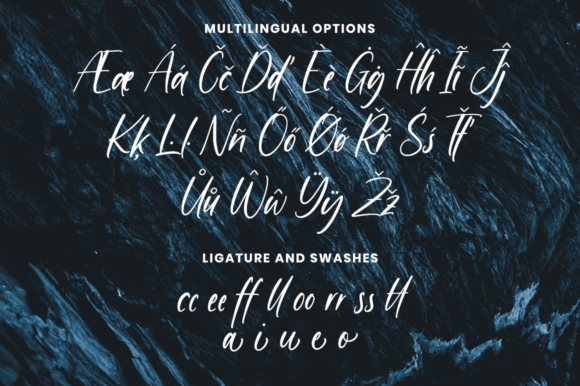 Buffallo Font Poster 11
