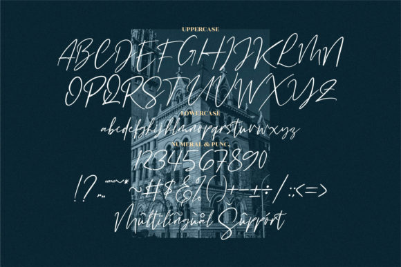Buffalo City Font Poster 11