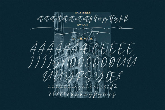Buffalo City Font Poster 12