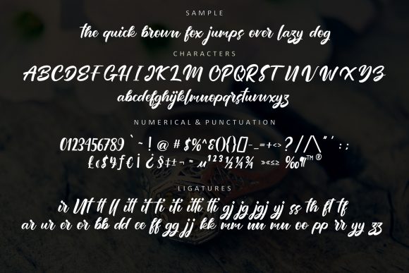 Bullgattis Font Poster 9