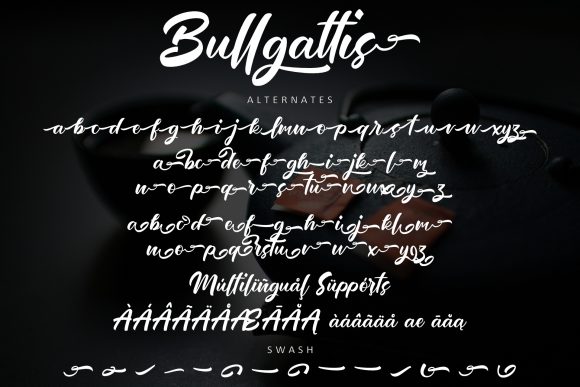 Bullgattis Font Poster 10