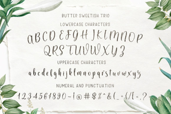Butter Sweetish Font Poster 6