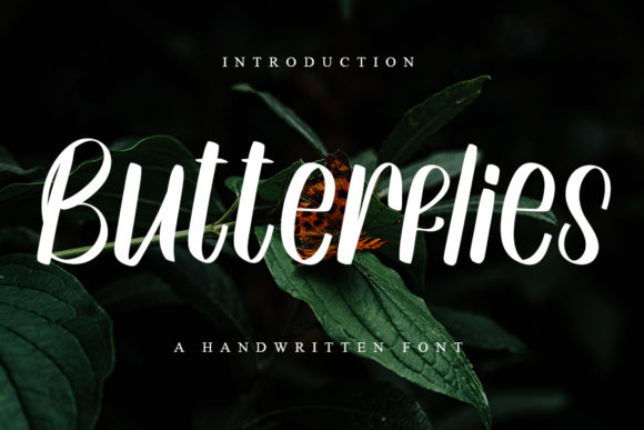 Butterflies Font Poster 1