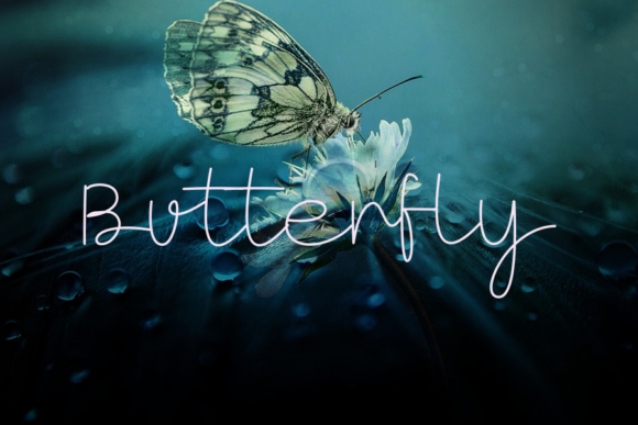 Butterfly Font Poster 1