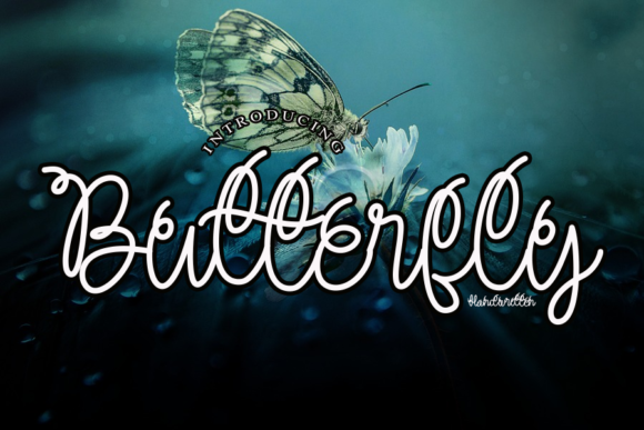 Butterfly Font Poster 1