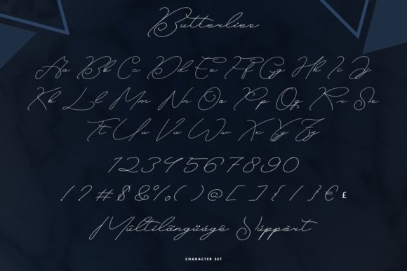 Butterlies Font Poster 5