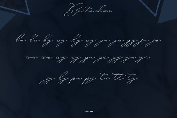 Butterlies Font Poster 7