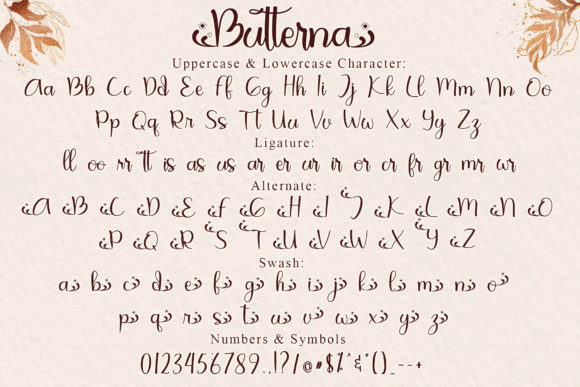 Butterna Font Poster 6